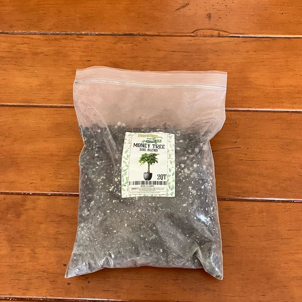 Birch Seed Money Tree Soil Blend